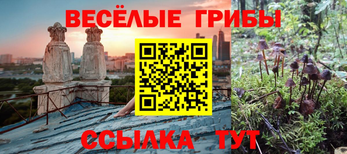 Россошь  Галлюциногенные грибы Psilocybine cubensis  Галлюциногенные грибы прущие грибы  Вход с VPN 